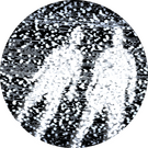 Thomas Literally everything